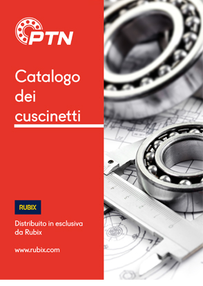 PTN | Catalogo dei cuscinetti
